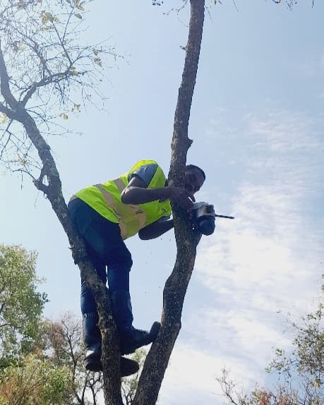 Lights/CTV Installation
