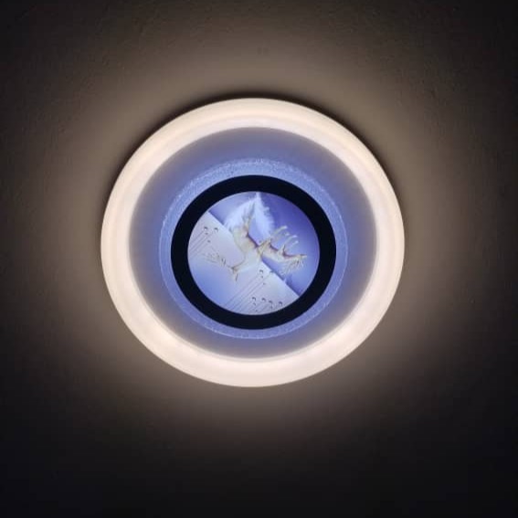 Contemporary Ceiling Lamp