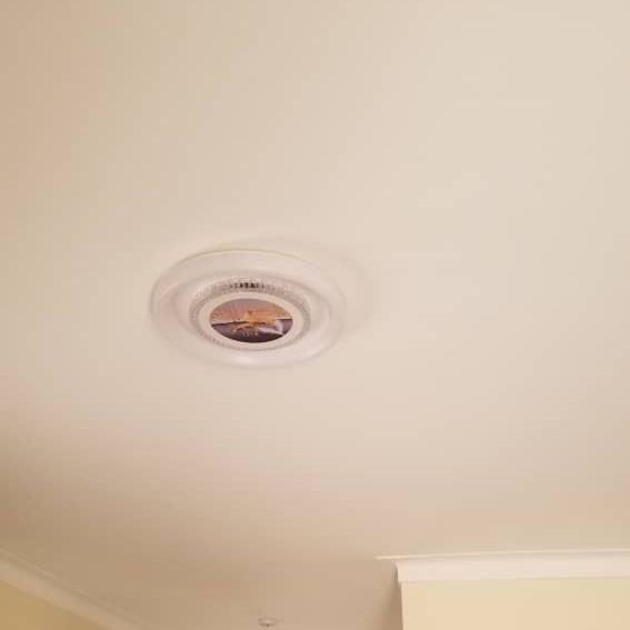 Contemporary Ceiling Lamp