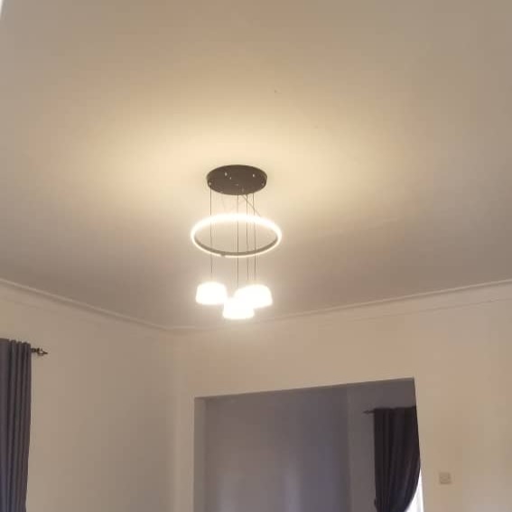 Contemporary Ceiling Lamp