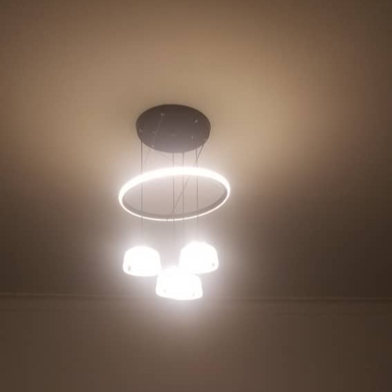 Contemporary Ceiling Lamp